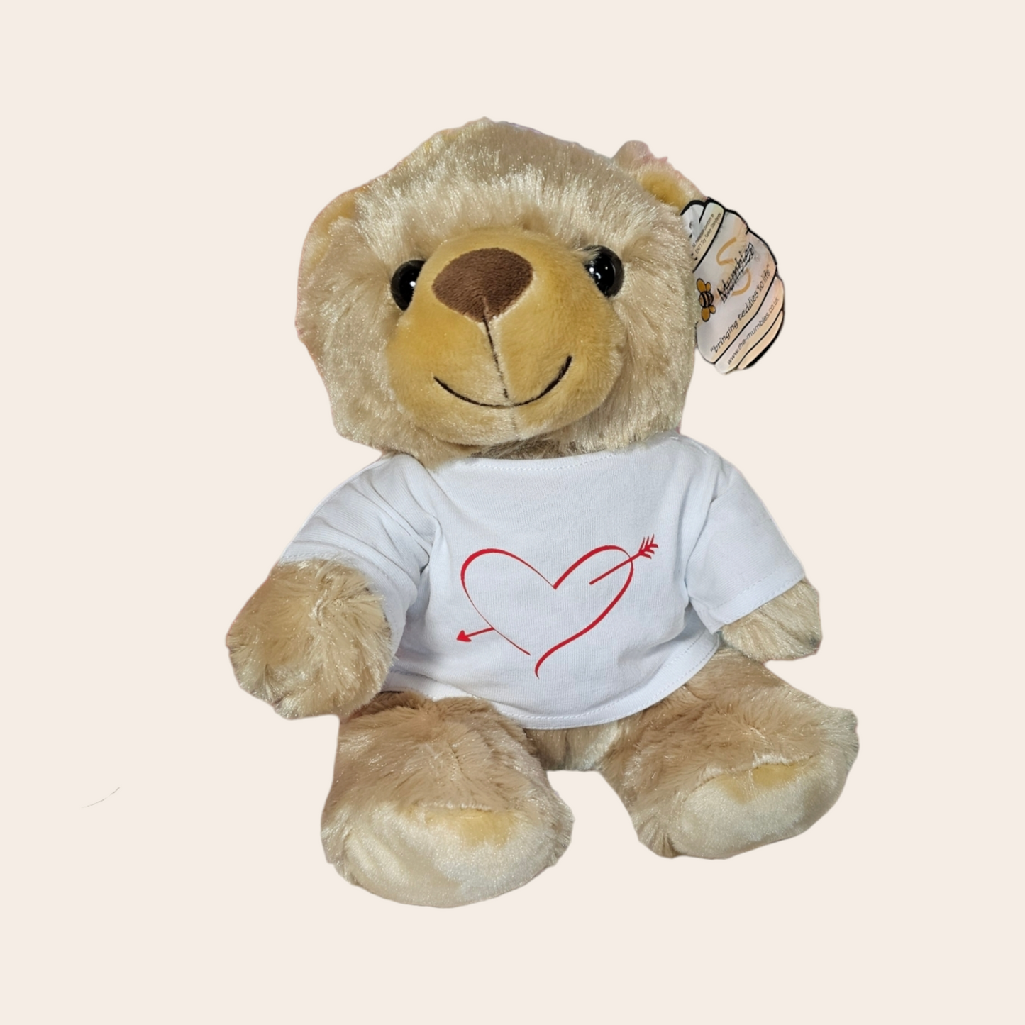 Personalized Teddy Bear with T-shirt and Own Print (copy)