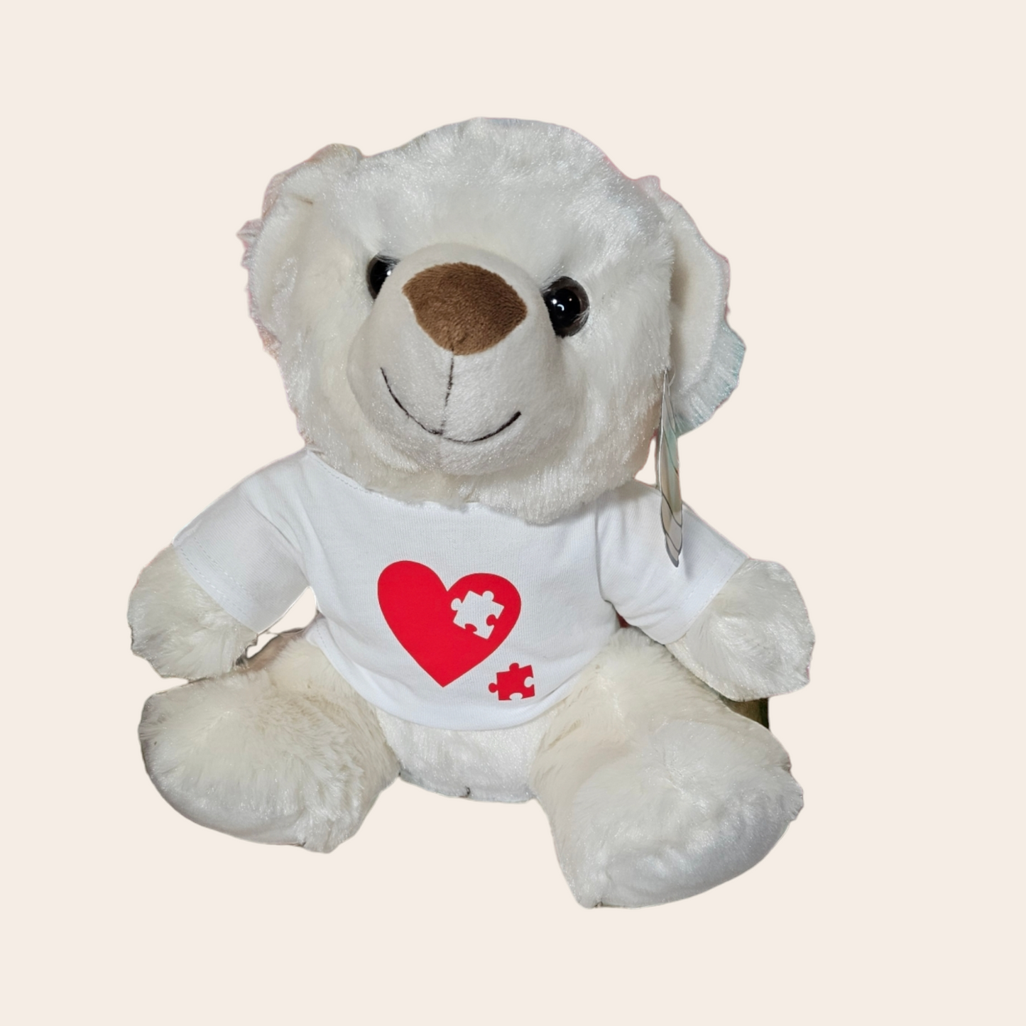 Personalized Teddy Bear with T-shirt and Own Print