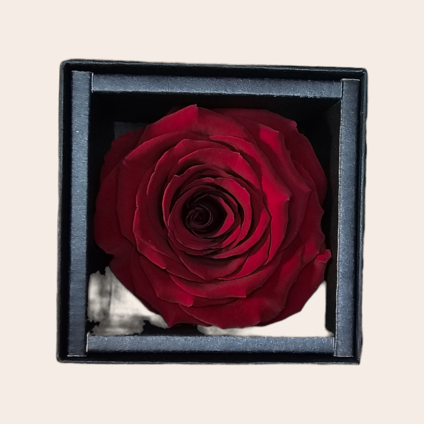 Rode Longlife Roos van 6 cm in Luxe Giftbox: Een Tijdloos en Elegant Geschenk