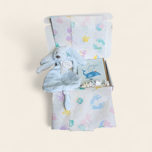 Welkom Lieve Jongen – Brievenbuscadeautje met Happy Horse Richie Blauw