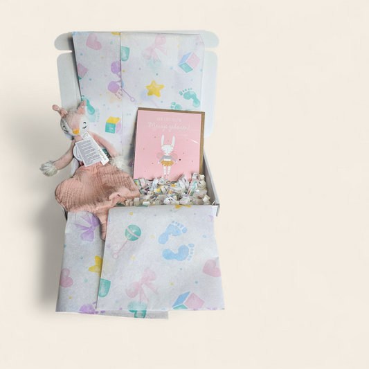 Lief Klein Meisje Geboren – Brievenbuscadeautje met Happy Horse Talia Roze