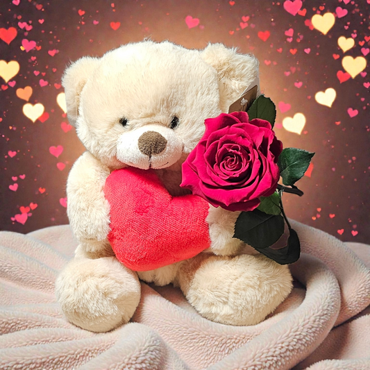 bruine Zittende Knuffelbeer (ca. 20 cm) met Hart, Rode Longlife Roos & Kaart – Romantisch Valentijnscadeau