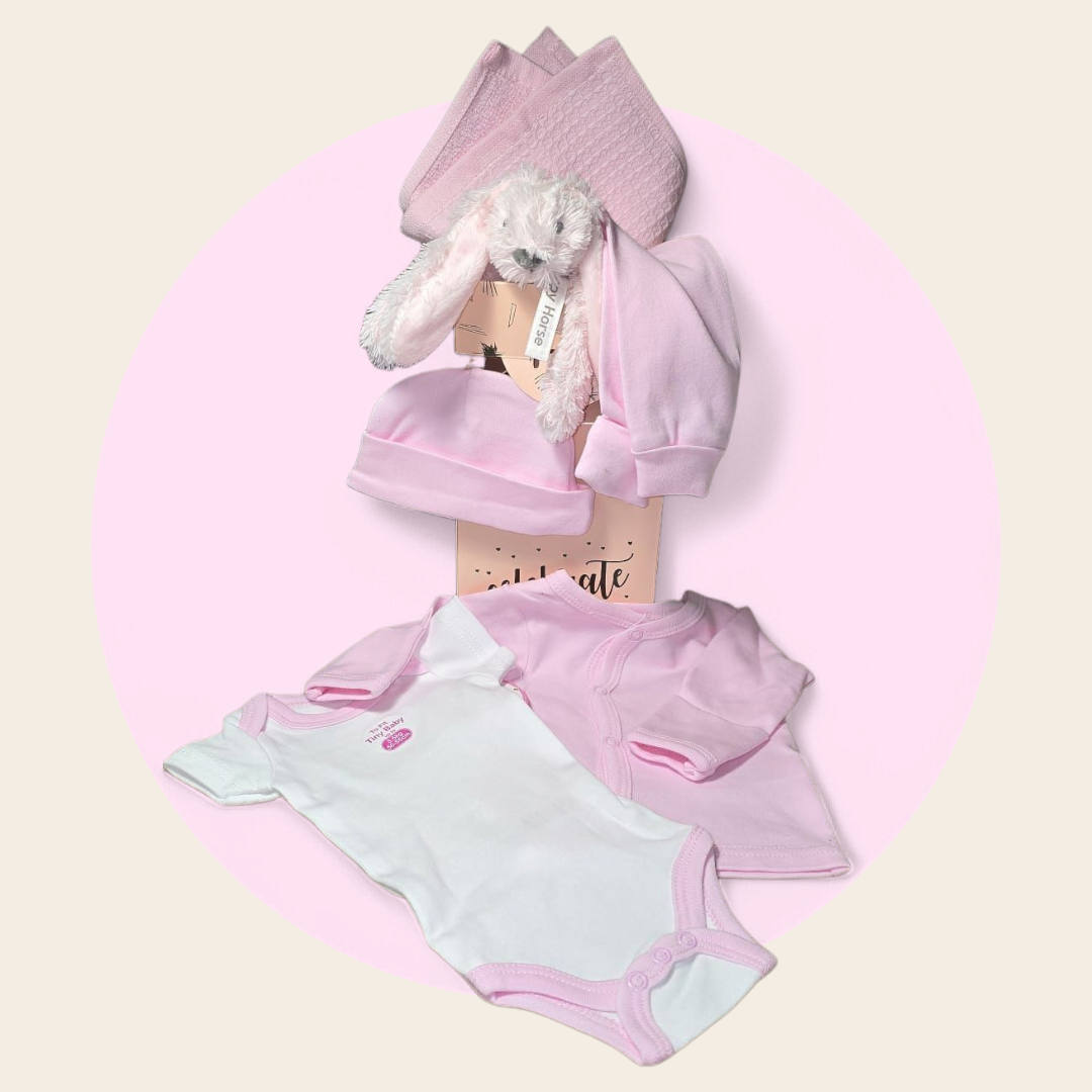 Kraampakket it's a girl lets celebrate - met happy horse - baby kleding en spuugdoekje