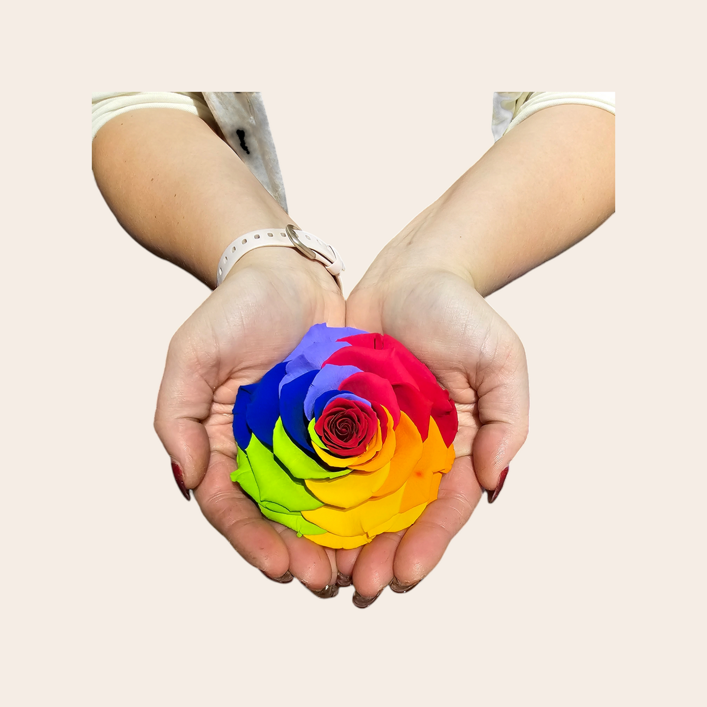 Longlife Regenboogroos van 9,5 cm: Een Kleurrijk en Duurzaam Geschenk