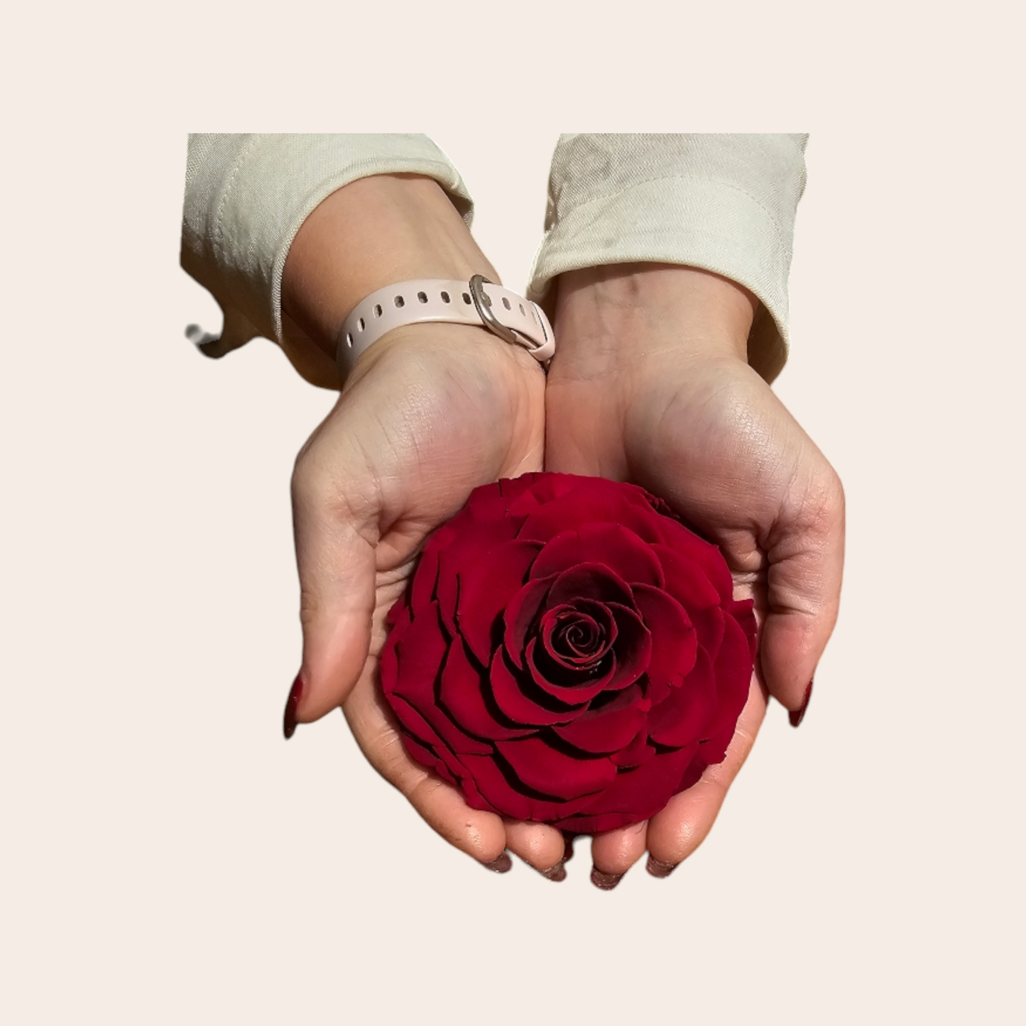 Red Longlife Rose 9.5 cm: Timeless Elegance and Sustainability