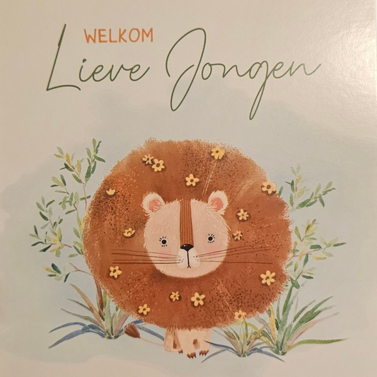 Welkom lieve jongen - leeuwtje