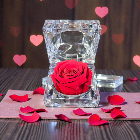 Longlife roos in juwelendoosje