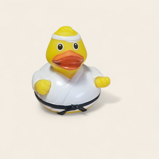 Badeend Martial Arts – Karate, Taekwondo & Jiu Jitsu