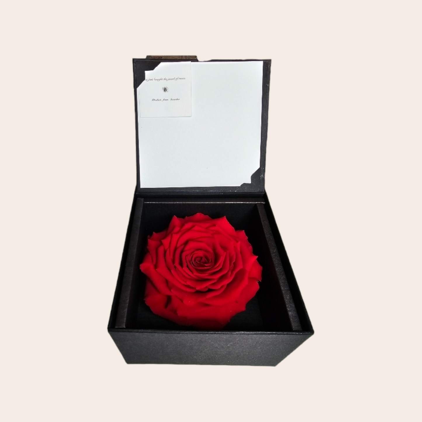 Rote Longlife-Rose von 8,5 cm in luxuriöser Geschenkbox: Ein elegantes und nachhaltiges Geschenk