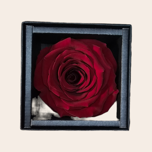 Rote Longlife Rose von 6 cm in luxuriöser Geschenkbox: Ein zeitloses und elegantes Geschenk