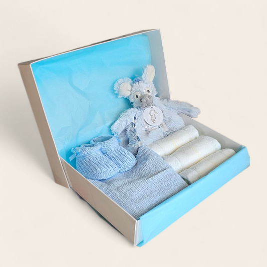 Kraamcadeau blauw met Happy Horse Donkey Dallas, spuugdoekje slofjes en pampers