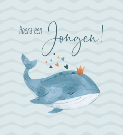 Hoera een jongen - walvis